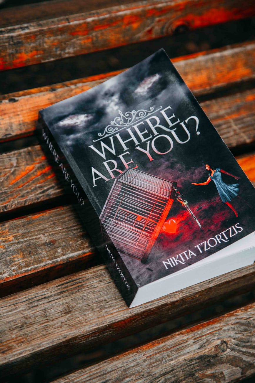 photo of the book where are you by nikita tzortzis